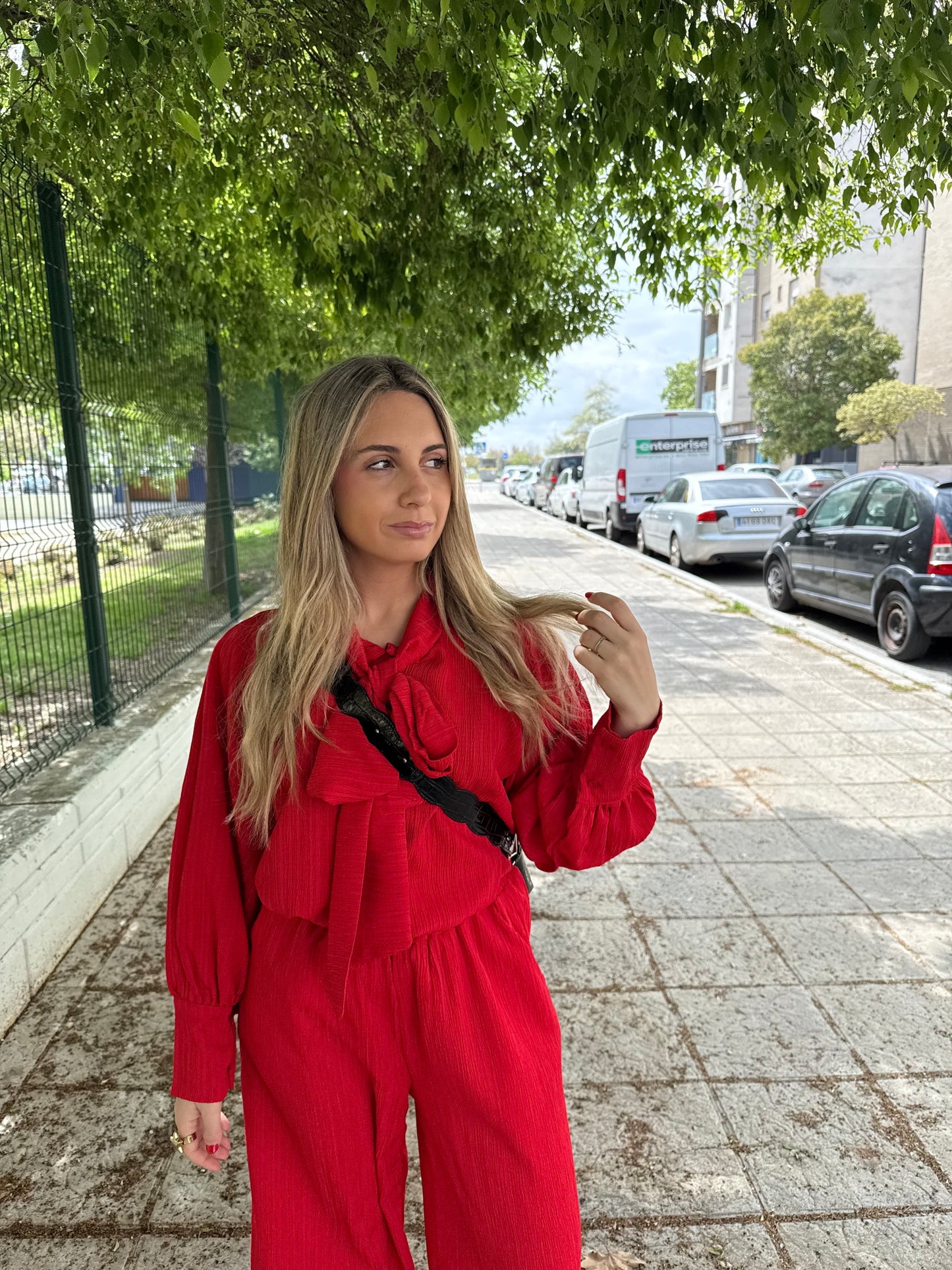 Conjunto Alegría